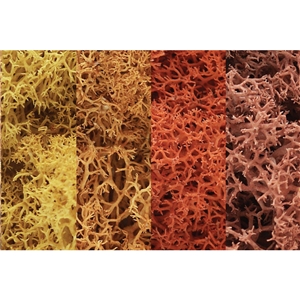 L165 Autumn Mix Lichen (image for) L165 Autumn Mix Lichen